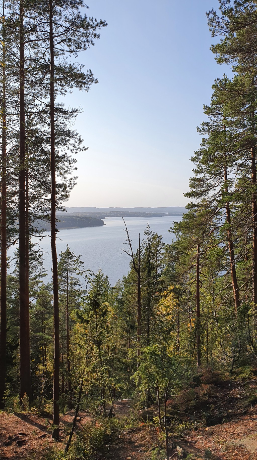 Vaarunvuori ja Kanavuori,&nbsp;Jyväskylä