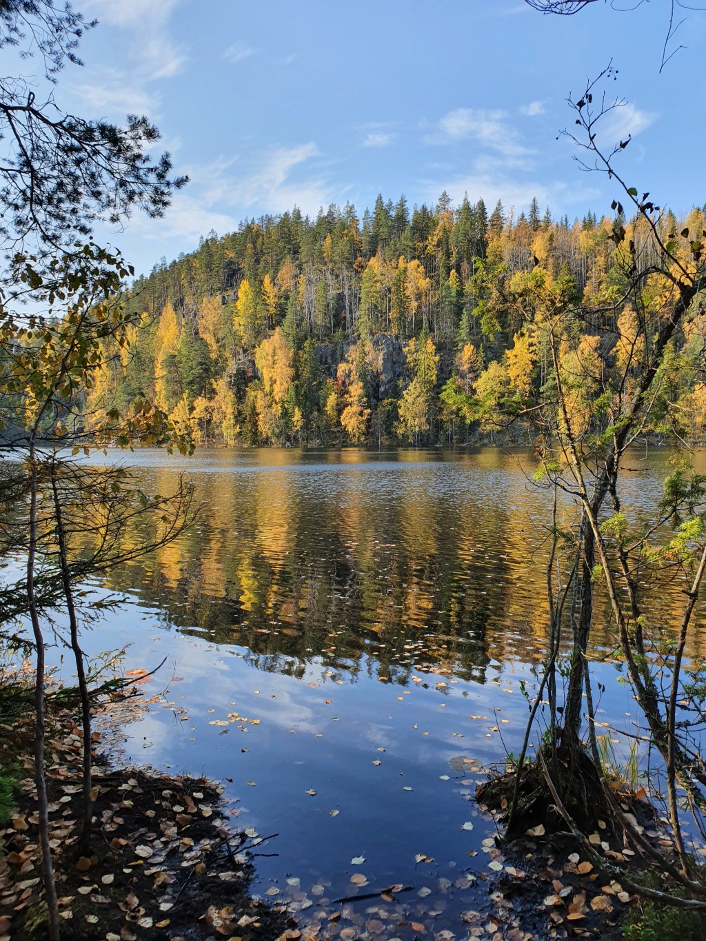 Päiväretki Etelä-Konneveden kansallispuistoon