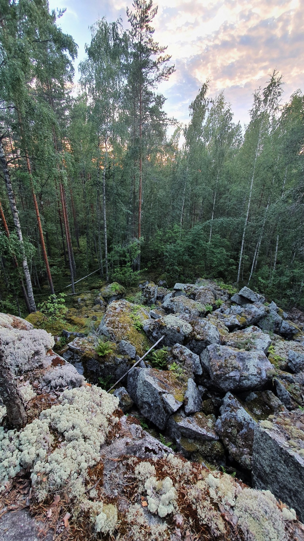 Palstonvuori, Jyväskylä