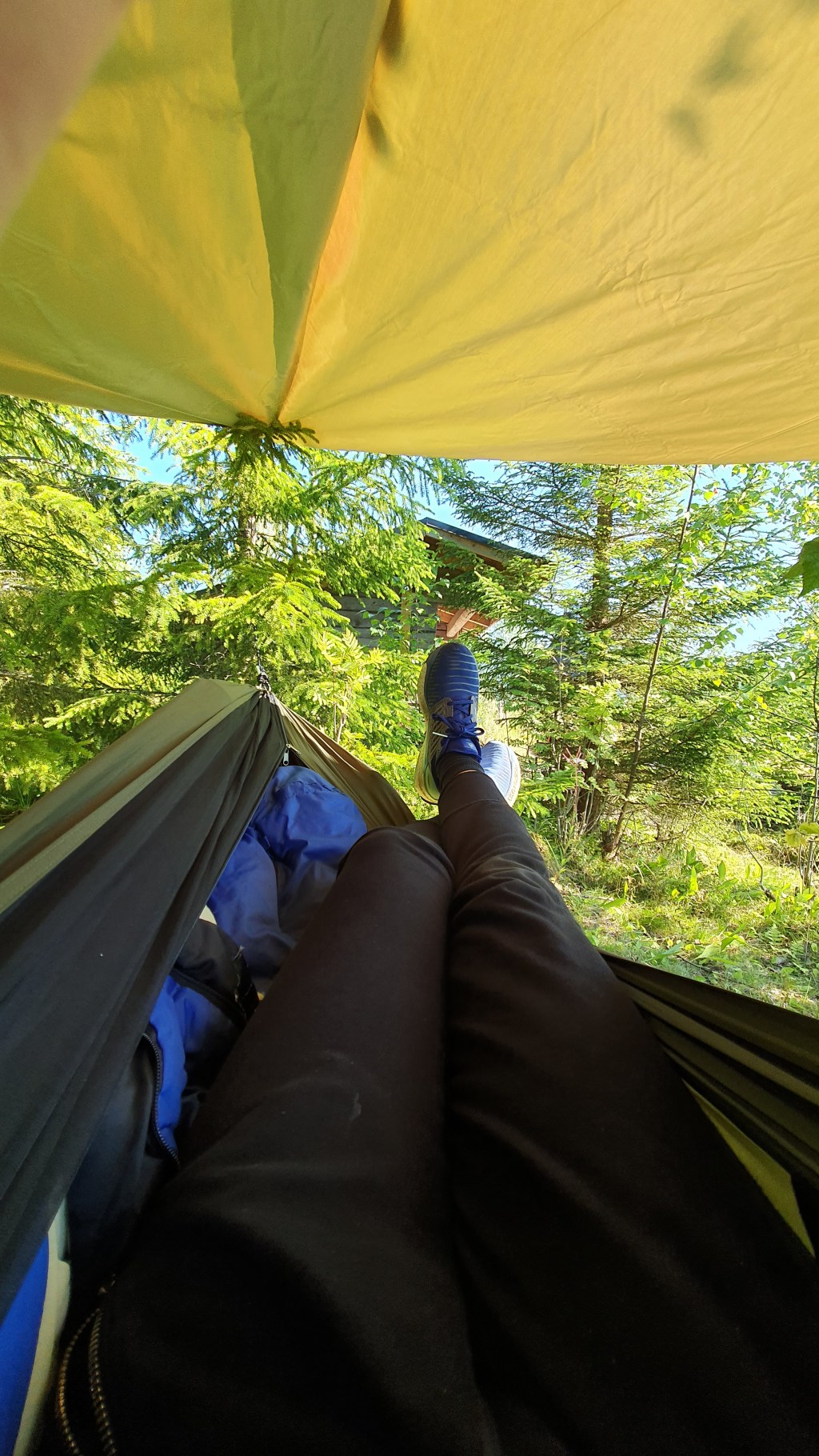 Syntymäpäiväni Hitonhaudan Sylvi-laavulla