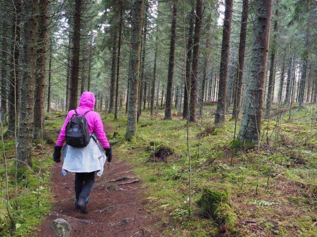 Mitä mukaan päiväretkelle?