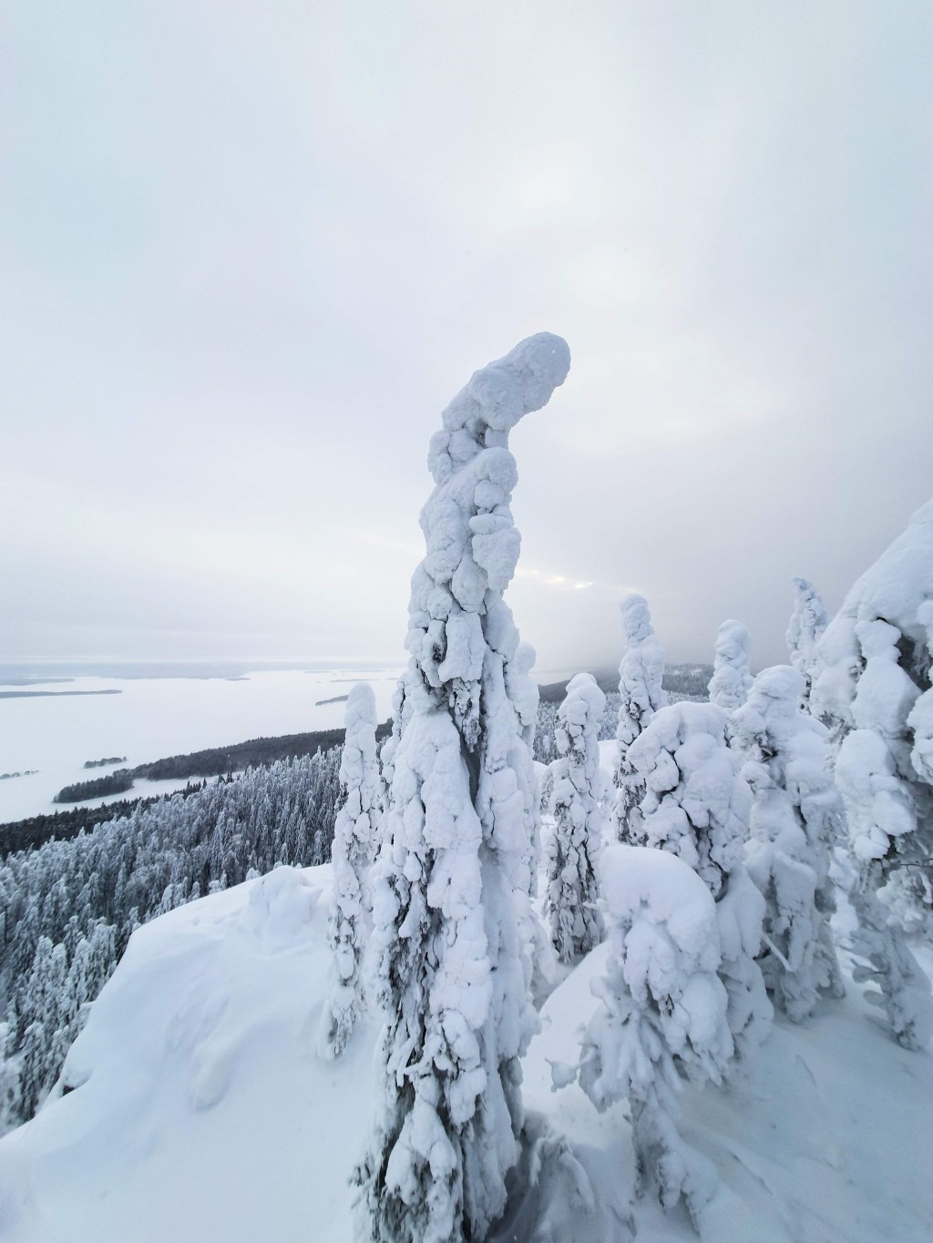 Talviretkeilyä Kolilla: kylmiä pakkasöitä ulkona, tykkylumipuita ja tuvan&nbsp;lämpöä