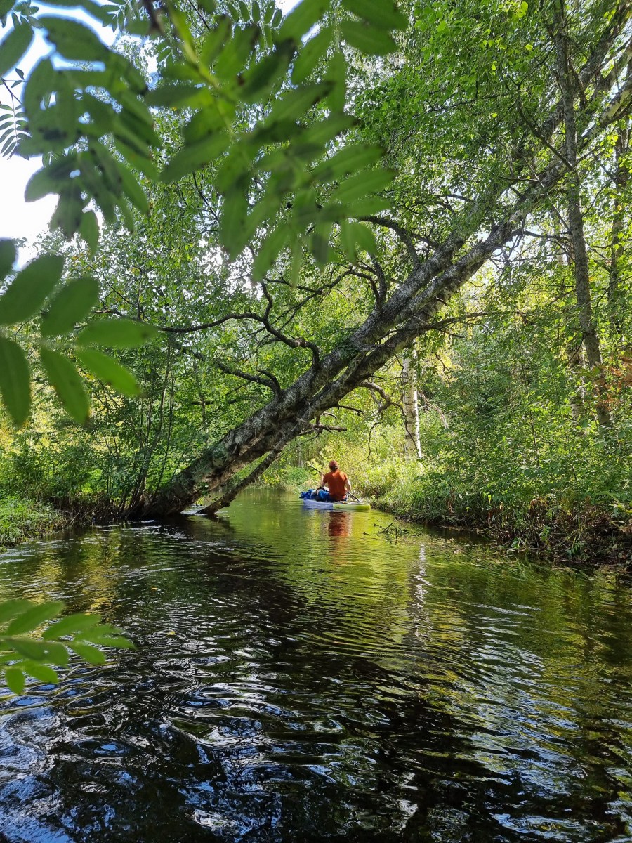 Synttäriseikkailu: Autiojoen melonta&nbsp;SUP-laudalla
