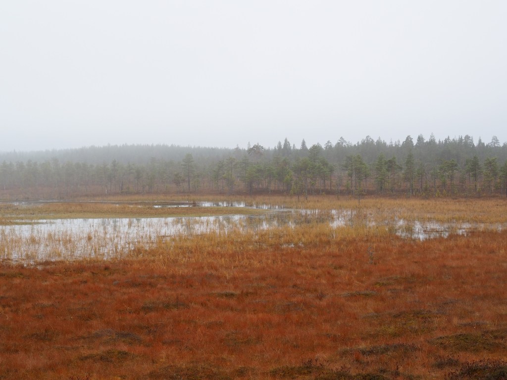 Utuisen aamun seikkailu suojellulla Kilpisuolla 