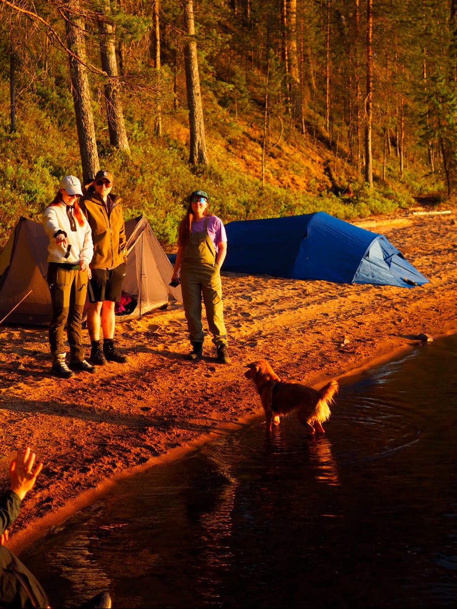 Orhinselkä – Kalliopolku johdattaa Miekojärven upealle hiekkarannalle Lapin yöttömään&nbsp;yöhön
