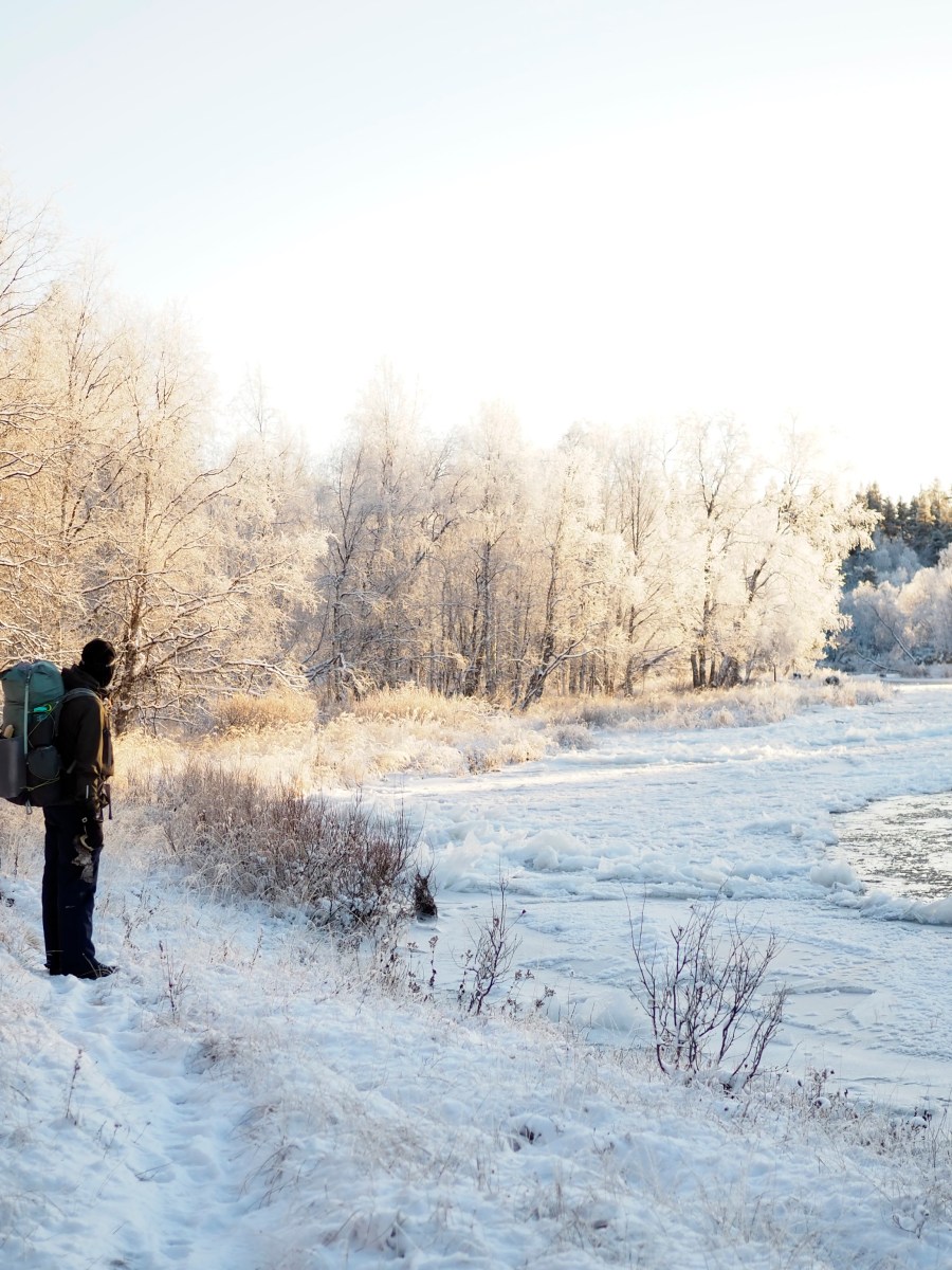 Kylmänsietoa ja lekottelua erämaan laidalla Urho Kekkosen kansallispuistossa